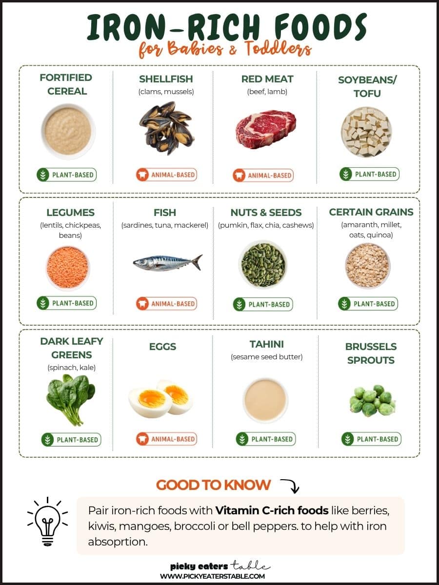Foods high in iron.