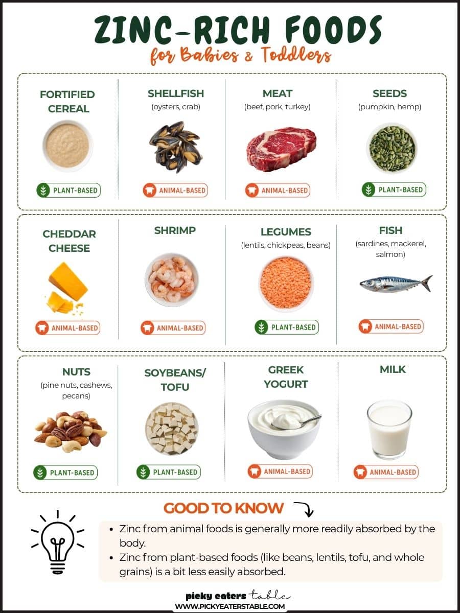 Foods high in zinc.